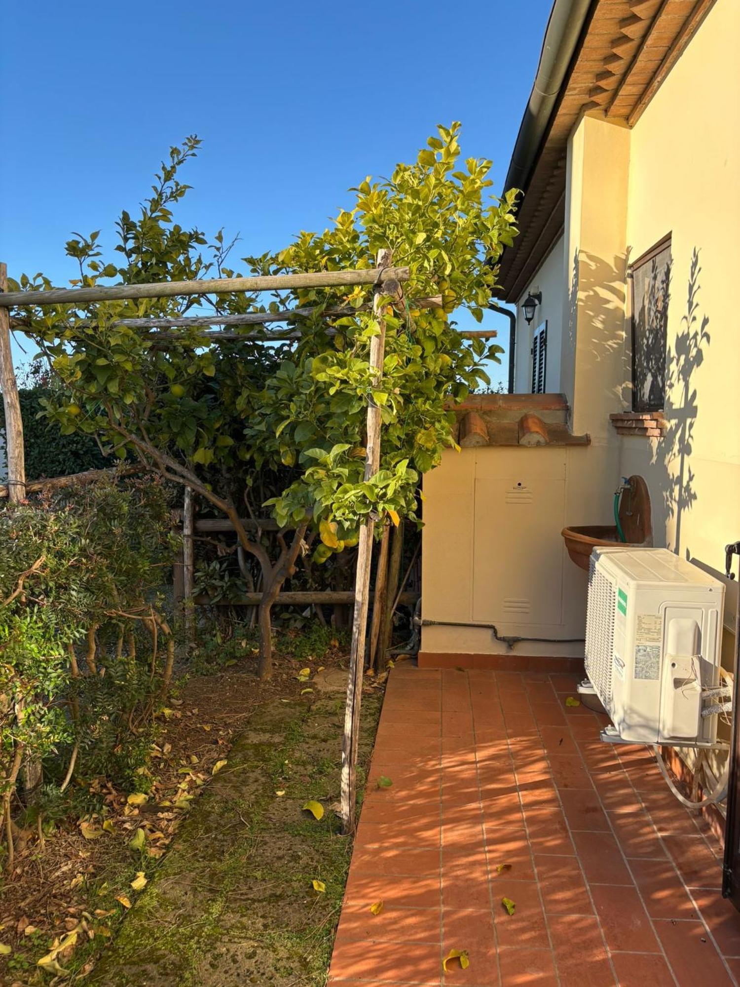 Casa "Ale" Con Piscina Comune E Bellissimo Giardino A 5 Minuti Dal Mare Cecina (Livorno) Exterior photo
