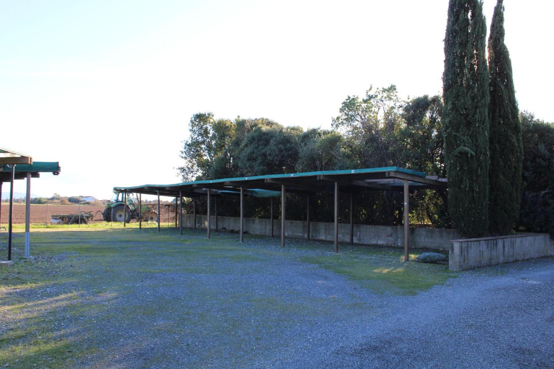 Casa "Ale" Con Piscina Comune E Bellissimo Giardino A 5 Minuti Dal Mare Cecina (Livorno) Exterior photo